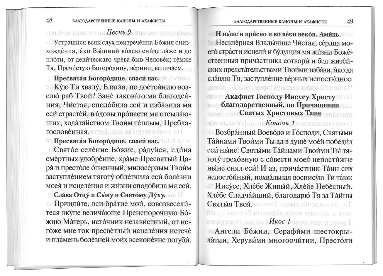 Молебен иисусу христу текст. Благодарственные молитвы Господу Богу Иисусу Христу. Молитва Иисусу Христу благодарственная. Благодарственный молебен ко Господу Иисусу Христу. Благодарственная молитва Иисусу.