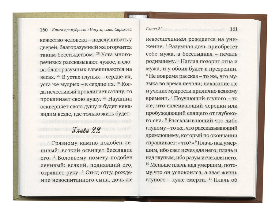 Книга иисуса сирахова. Книга премудрости Соломона книга. Книга Иисуса сына Сирахова. Книга премудрости Соломона. Книга премудрости Иисуса, сына Сирахова. Библия книга премудрости Иисуса.