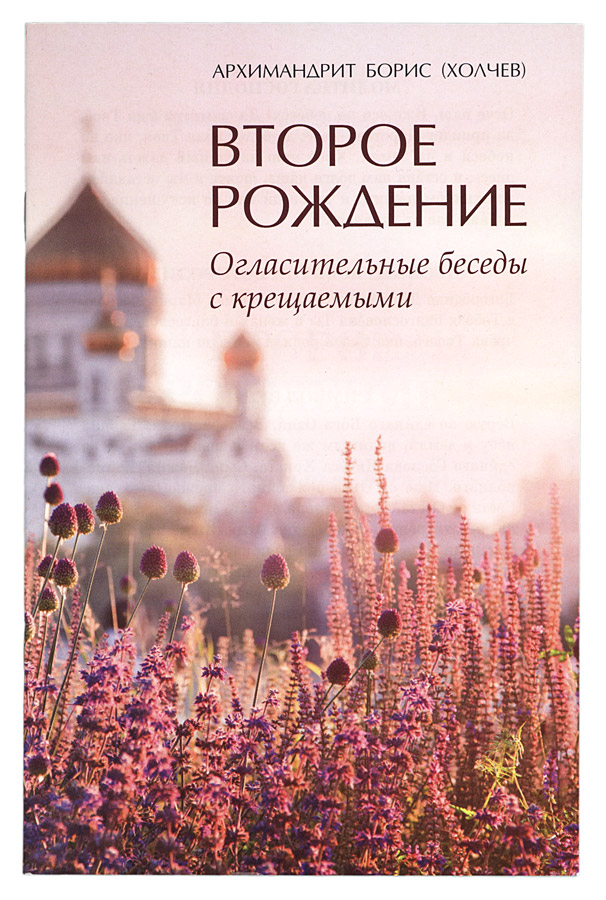 Читать книги второе рождение. Пособие по организации огласительных бесед.