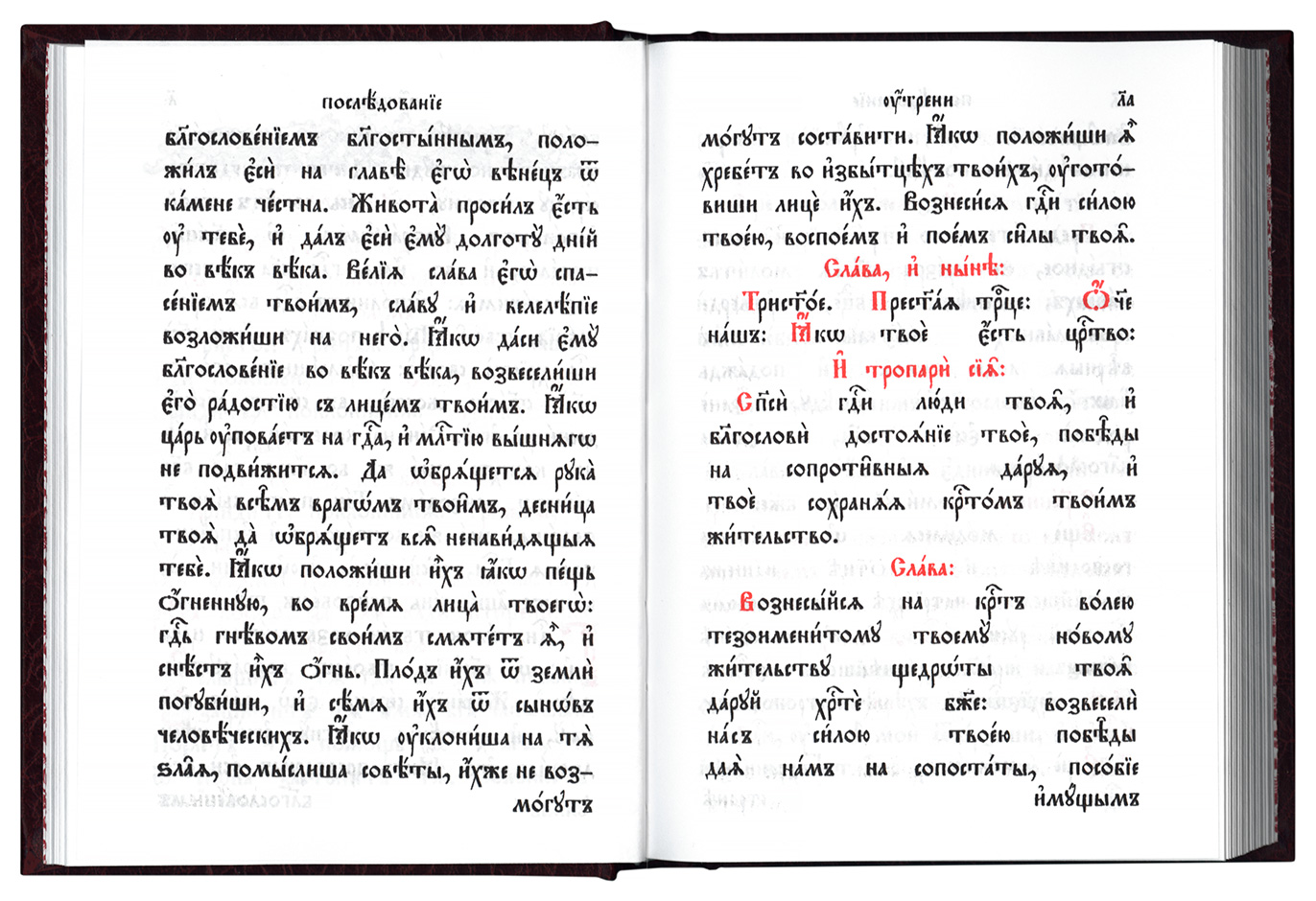 Часослов для мирян на русском языке читать. Символ веры на церковно-Славянском языке. Ангел молитвы на церковнославянском. Повечерие для мирян. Псалом 26 на церковнославянском.