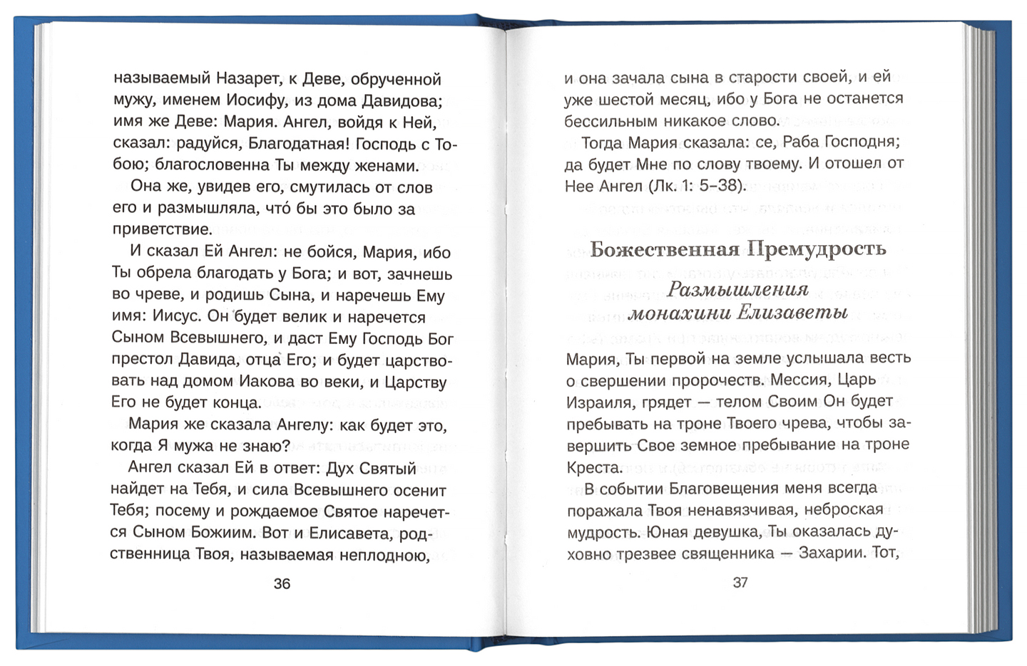 Толкование молитв. Богородичное правило как правильно читать. Богородичное правило как правильно читать дома.