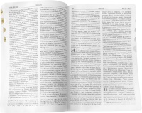 bibliya-na-molnii-korichnevaya-112479-535593